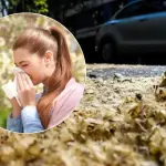 Estornudos antes de tiempo: alergias estacionales se adelantaron en Los Ángeles, Diario La Tribuna