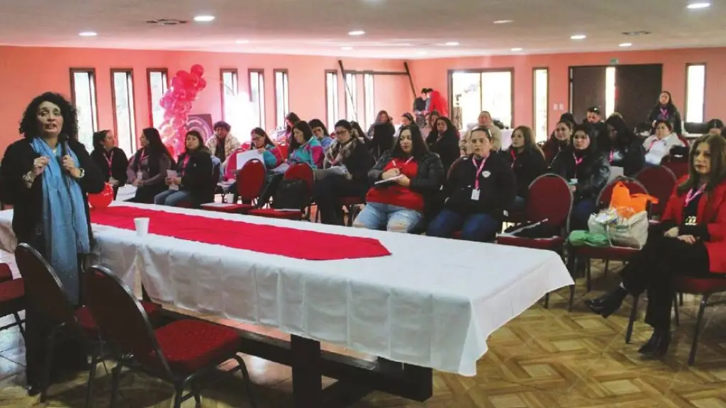 A juicio de las participantes, fue una fructífera jornada de capacitación., Diario La Tribuna