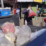 Las fiscalizaciones fueron lideradas por la delegación provincial Biobío de la Seremi de Salud., Seremi de Salud Biobío