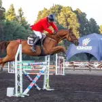 La competición ecuestre se realizará en calle Don Víctor s/n, kilómetro 1,9, La Tribuna