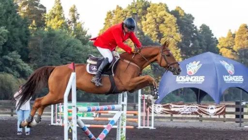 Club Ecuestre Curamávida organiza fecha con 200 binomios y lo mejor de la equitación nacional