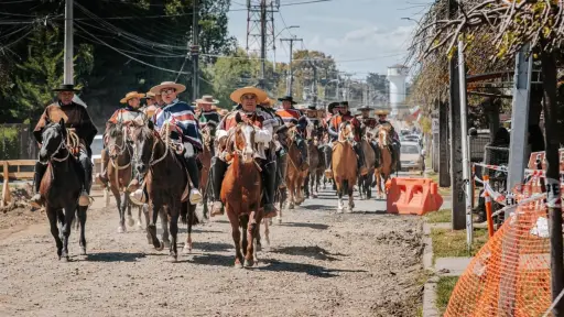 Cabalgata de Negrete es suspendida por brote de fiebre equina en la región