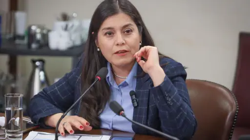 Diputada Karen Medina busca ampliar horario de fondas en la Macrozona Sur: Los emprendedores esperan todo el año esta semana