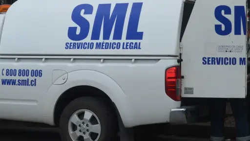 Extienden diligencias tras hallazgo de osamentas en predio forestal de Nacimiento