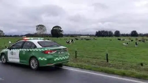 Productores de carne detallan trabajo para reforzar la vigilancia y evitar el abigeato