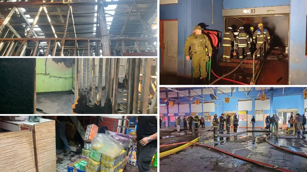 Incendio Los Ángeles La Vega Techada