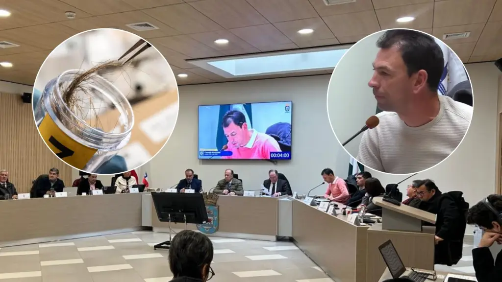 Concejal de Los Ángeles solicita test de drogas para todos los miembros del concejo municipal, Diario La Tribuna