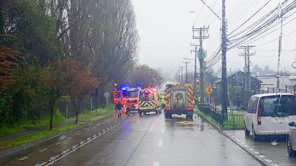 Conductor que dio positivo a cocaína causa choque de buses con 18 heridos en Valdivia, Fiscalía de Los Ríos