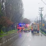 Conductor que dio positivo a cocaína causa choque de buses con 18 heridos en Valdivia, Fiscalía de Los Ríos