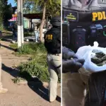 Cae banda narco que se preparaba para Fiestas Patrias en Peñaflor: 21 casas fueron allanadas, Diario La Tribuna