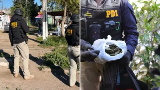 Cae banda narco que se preparaba para Fiestas Patrias en Peñaflor: 21 casas fueron allanadas