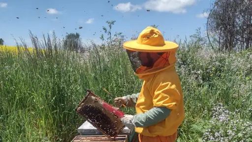 Mi Primer Negocio Rural impulsa emprendimientos jóvenes en el Biobío