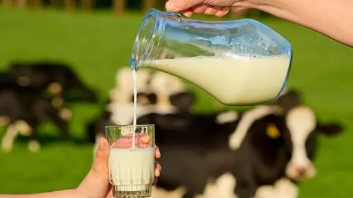 Productores de leche expresan su preocupación por la seguridad rural y el control sanitario