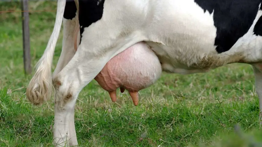 Desde el gremio lamentaron el reciente aumento en los delitos en sectores rurales. Ante ello, solicitaron una mayor articulación entre las fiscalías y las policías. / dairynewslatam.com