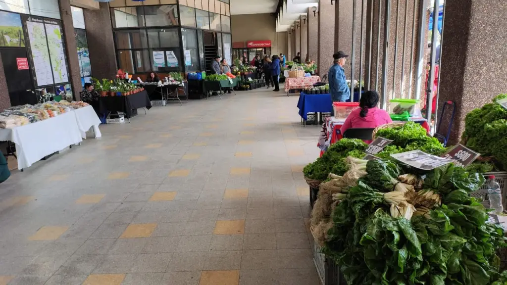 Feria de los días miércoles de Prodesal, cedida