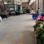 Feria de los días miércoles de Prodesal, cedida