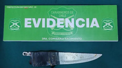 Carabineros de Nacimiento detienen a sujetos con antecedentes penales en Villa Alegre