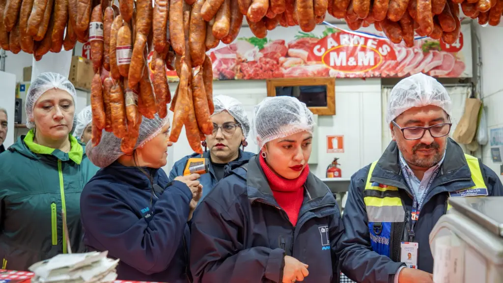 Fiscalizaciones sanitarias en el marco de Fiestas Patrias, Seremi de Salud Biobío