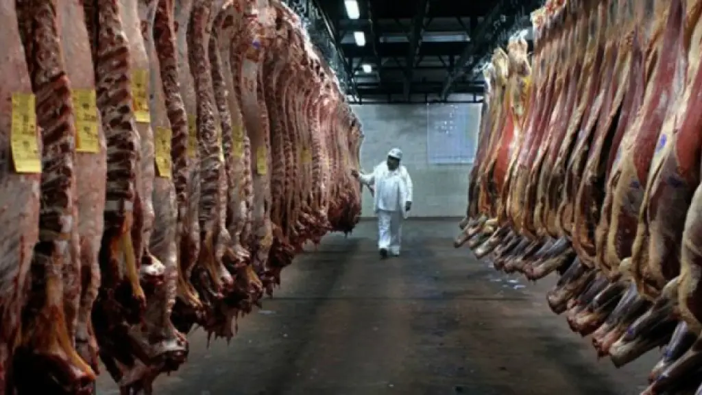 De acuerdo con la asociación, existe una inversión sin ejecutar de US$800 millones en proyectos, que se ha traducido en 10.300 empleos directos que no se han podido generar. / Infocampo