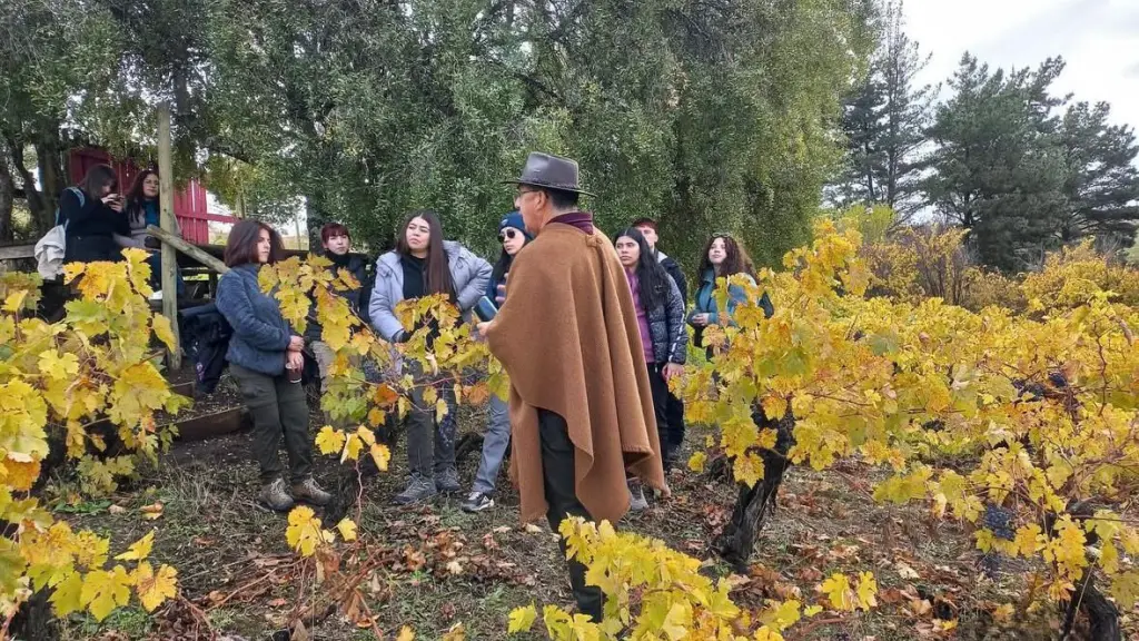 Charla Viña Quinta Rosa, INDAP