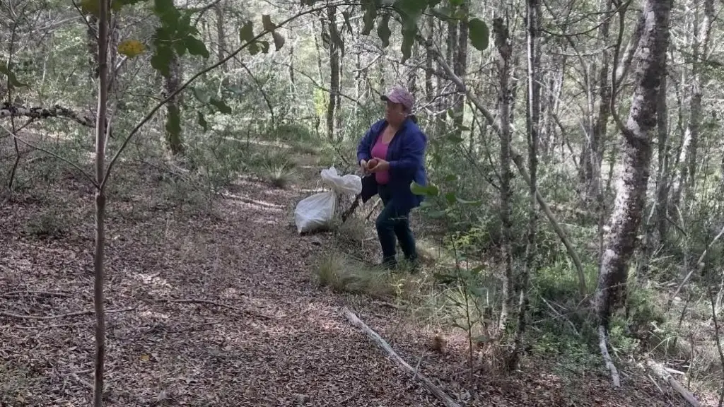 Filomena Garcés, recolectora nacimientana, Filomena Garcés