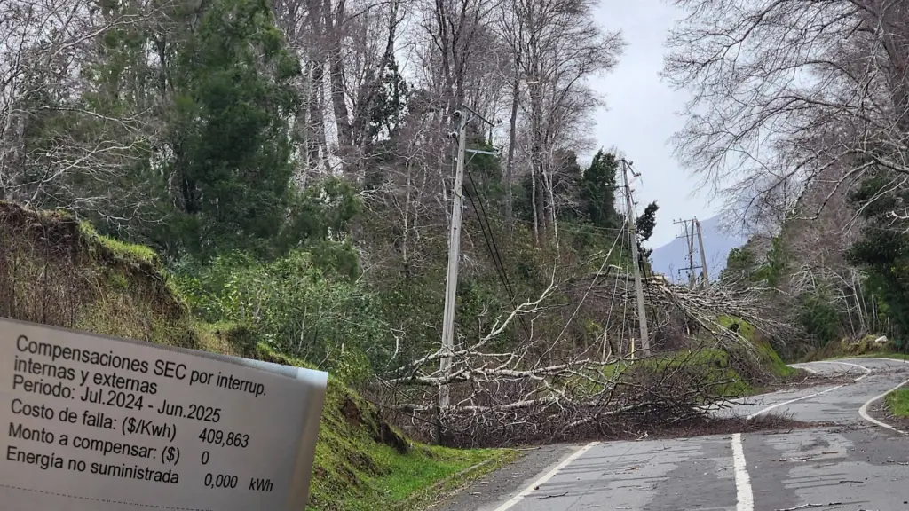 El sector Lo Nieve ha sufrido varios cortes de energía eléctrica el 2024-2025 producto de fallas del sistema y la caída de algunos postes, lo que ha ocasionado diversas complejidades a las familias del sector.  , Imágenes extraídas de redes sociales.