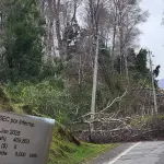 El sector Lo Nieve ha sufrido varios cortes de energía eléctrica el 2024-2025 producto de fallas del sistema y la caída de algunos postes, lo que ha ocasionado diversas complejidades a las familias del sector.  , Imágenes extraídas de redes sociales.