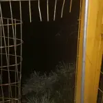 Desconocidos rompieron la reja perimetral e ingresaron al sector donde se encontraba el equipamiento., Cedida