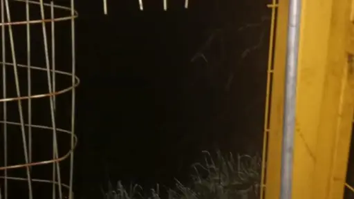 Canalistas Biobío Sur denuncian vandalización de estación de control de riego en Mulchén