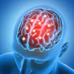 Pese a representar solo el 2% del peso corporal, el cerebro humano consume cerca del 20% de la energía total del organismo., Freepik