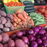 Los costos asociados a operar bajo focos de mosca de la fruta para los productores de hortalizas son considerables, tanto que pueden incluso arriesgar la utilidad de los negocios.