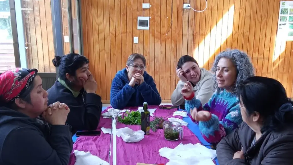 Cuidadoras de Alto Biobío aprenden a elaborar cremas medicinales ancestrales, Alto Biobío