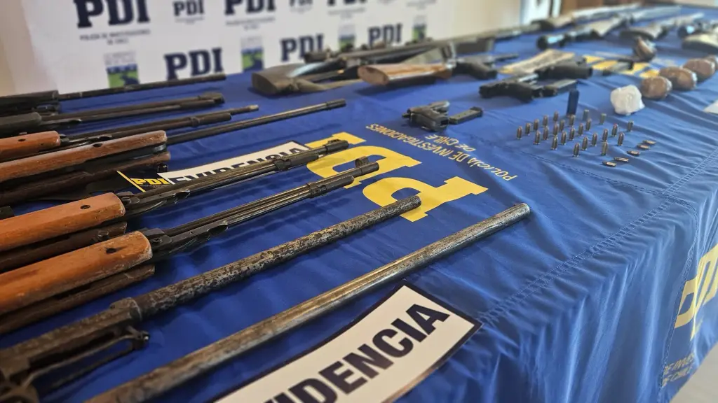 Especies incautadas por la PDI en Mulchén., La Tribuna