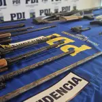 Especies incautadas por la PDI en Mulchén., La Tribuna