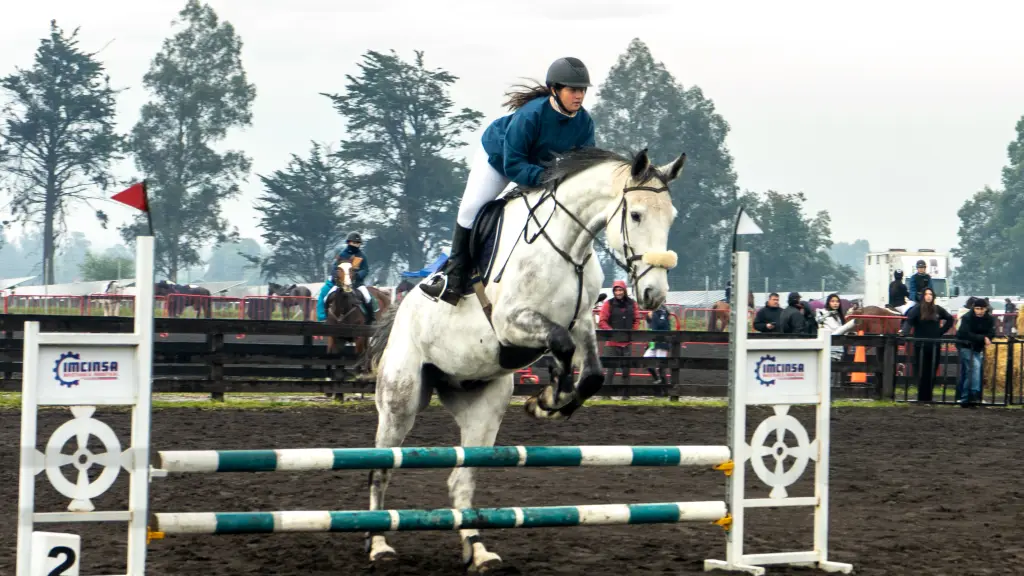 Pese a todo, se desarrolló con mucho éxito la fecha zonal sur en Curamávida, La Tribuna