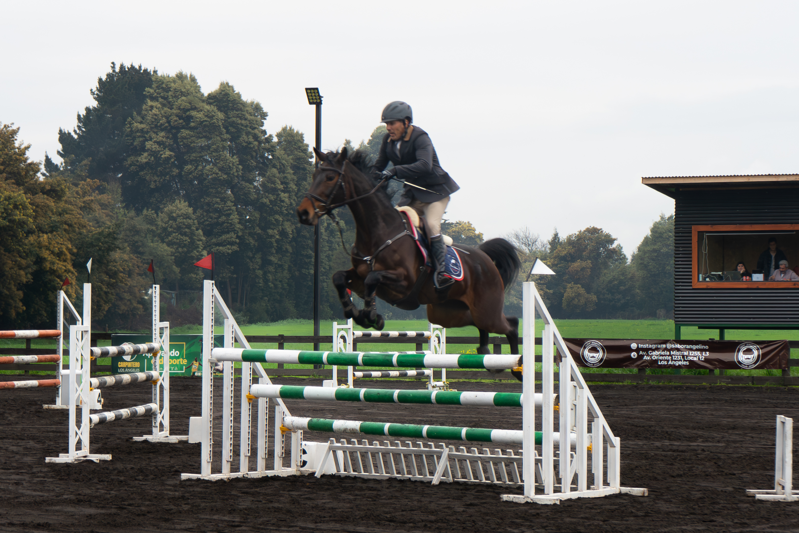 Pese a todo, se desarrolló con mucho éxito la fecha zonal sur en Curamávida / La Tribuna
