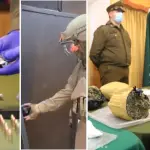 Cada tres minutos se registra un procedimiento policial en Los Ángeles, Diario La Tribuna