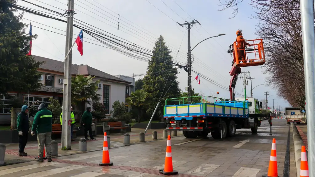 Poda de árboles, Municipalidad de Negrete