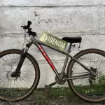 La especie logró ser recuperada por personal de Carabineros de la SIP , Cedida