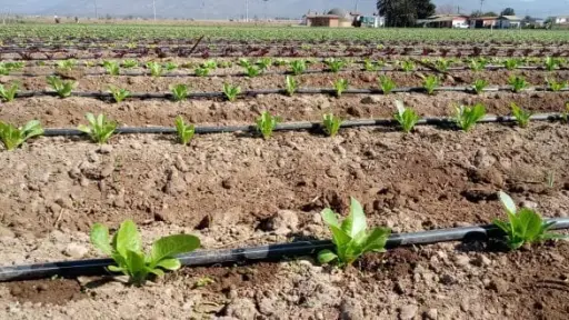 Canalistas del Laja valoraron cambios a la Ley de Riego que actualiza mecanismos ante emergencias
