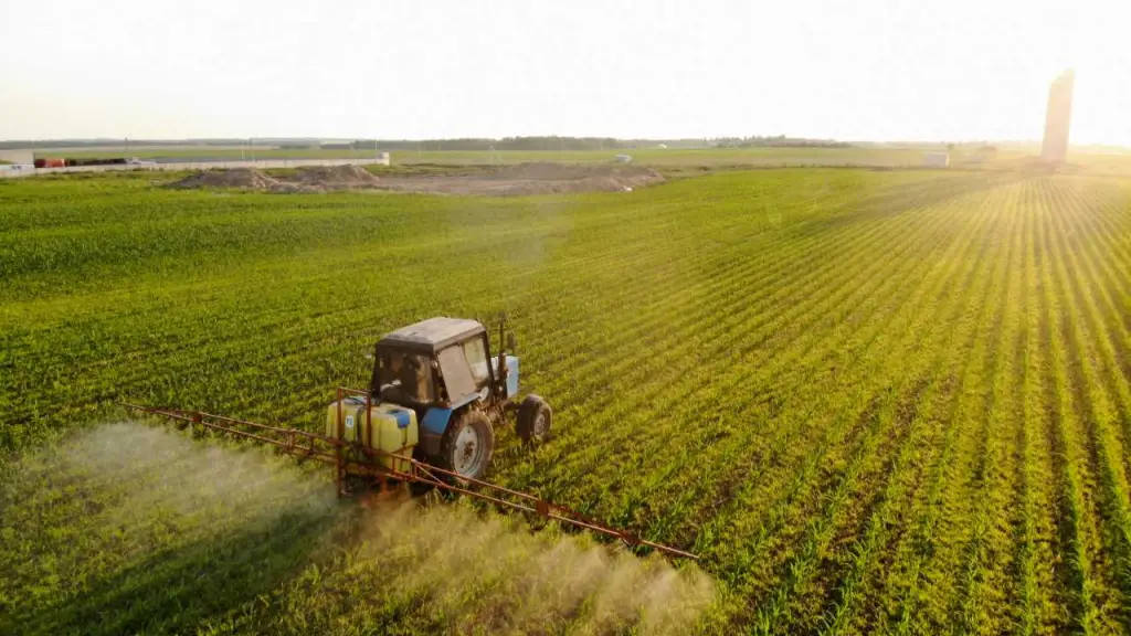 El informe proyecta que para 2050, América Latina podría abastecer dos a tres de cada cinco frutas y verduras a nivel global., contexto