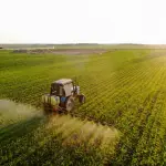 El informe proyecta que para 2050, América Latina podría abastecer dos a tres de cada cinco frutas y verduras a nivel global., contexto