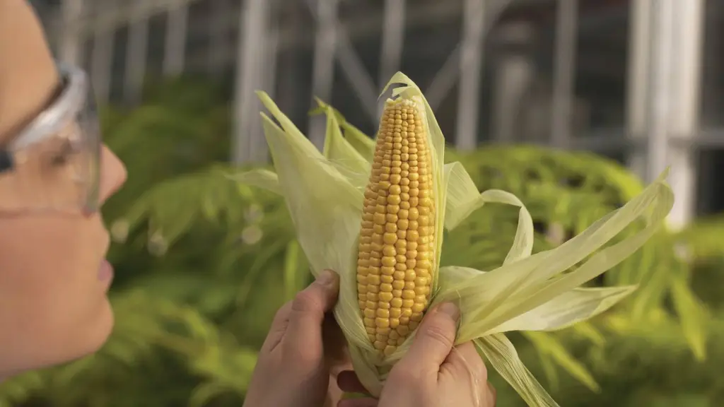 Desde ChileBIO aseguraron que la gran necesidad del sector es fortalecer la regulación y otorgar certeza jurídica a las actividades. / Blogger.com