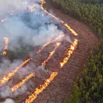 El fuego técnico aplica junto con técnicas de control como cortafuegos y el empleo de máquina y personal especializado, bajo condiciones meteorológicas y horarios específicos. 