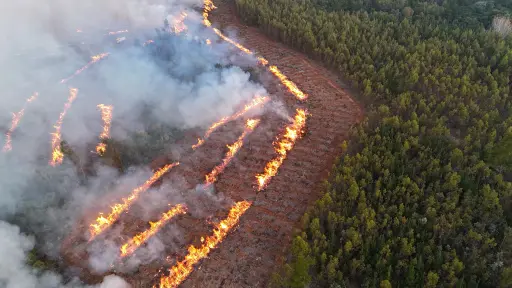 Proponen uso de fuego técnico por acumulación de material combustible durante seis años