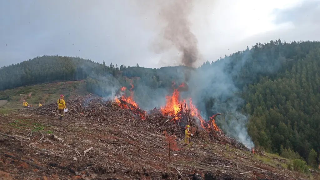 Desde los municipios aseguraron que se requiere de un decreto firmado por el presidente de la República para proceder con la quema preventiva en áreas críticas. / Corma