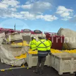 El vehículo de gran tonelaje, que circulaba en dirección sur, perdió la estabilidad y terminó volcado en la vía., Edición Diario La Tribuna