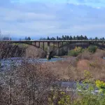 Vista puente Santa Bárbara - Quilaco, Archivo La Tribuna