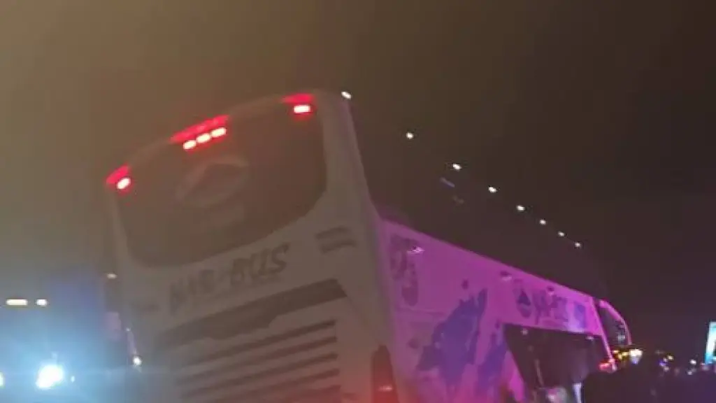 Confirman que accidente en Los Ángeles dejó un conductor lesionado y un perro fallecido, La Tribuna