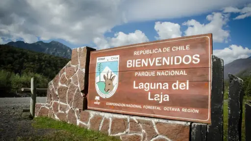 Parque Nacional Laguna del Laja abrirá sus puertas de manera gratuita este domingo